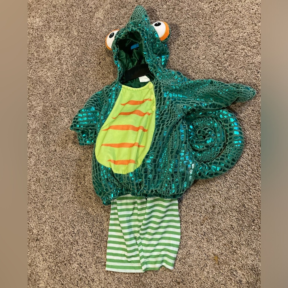 Chameleon Halloween Costume